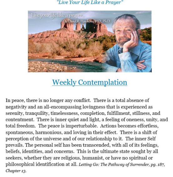 HawkinsContemplation