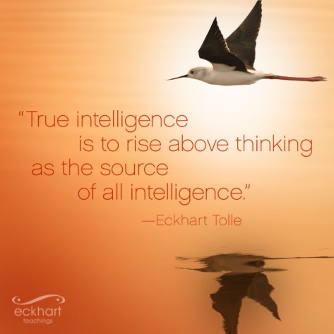 Tolle quote intelligence