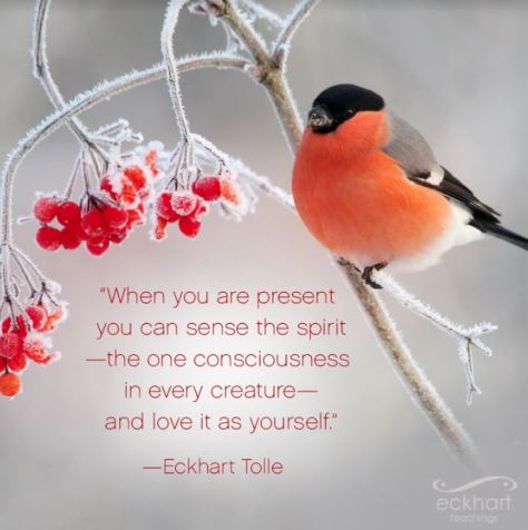 Tolle quote loving others