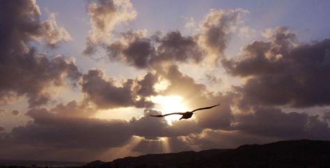 baja-sunset-940x480-1